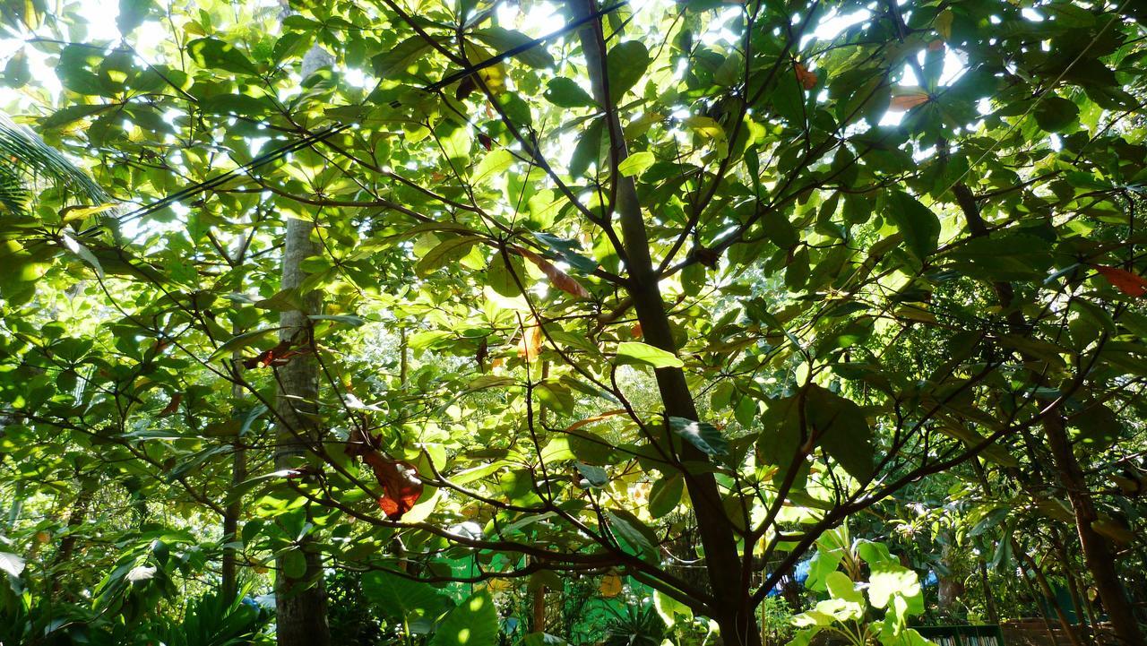 Secret Garden Resort Patnem Beach Luaran gambar